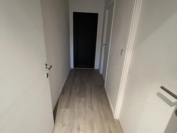 plamuren te Waregem, Deinze, Anzegem, Tiegem, Wakken, Dentergem, Markegem, Nazareth, Vichte, Deerlijk, Harelbeke, Tiegem, Deuren plaatser te Waregem, Deinze, Deerlijk, Nazareth, Olsene, Zulte, Kruisem 