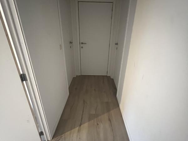 plamuren te Waregem, Deinze, Anzegem, Tiegem, Wakken, Dentergem, Markegem, Nazareth, Vichte, Deerlijk, Harelbeke, Tiegem, Deuren plaatser te Waregem, Deinze, Deerlijk, Nazareth, Olsene, Zulte, Kruisem 