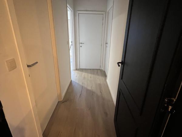 plamuren te Waregem, Deinze, Anzegem, Tiegem, Wakken, Dentergem, Markegem, Nazareth, Vichte, Deerlijk, Harelbeke, Tiegem, Deuren plaatser te Waregem, Deinze, Deerlijk, Nazareth, Olsene, Zulte, Kruisem 