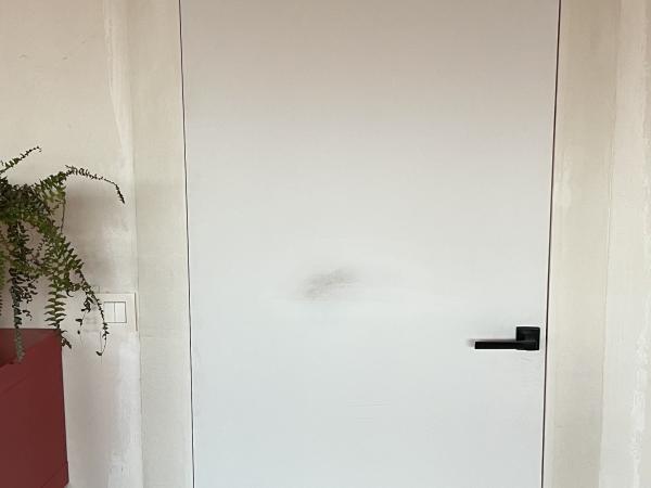 Leveren/plaatsen Arlu invisidoor met onzichtbare kaders, binnendeur Waregem